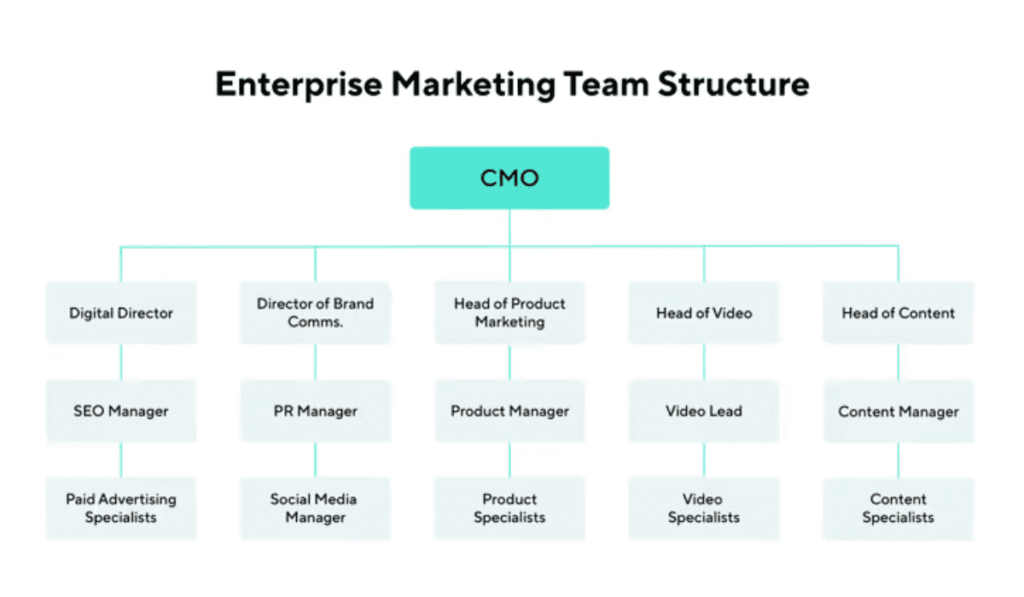 Structure of a marketing team.
