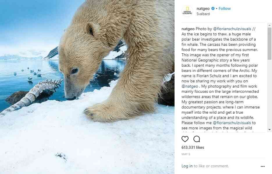 Instagram post of National Geographic showing the use of storytelling as part of their content marketing strategies