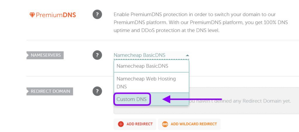 Custom DNS option in Nameservers dropdown menu