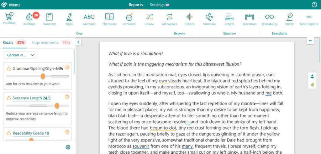  Grammar analysis displayed by ProWritingAid with highlighted issues.