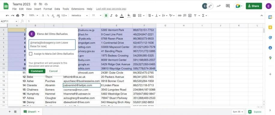 The Comment feature in Google Sheets