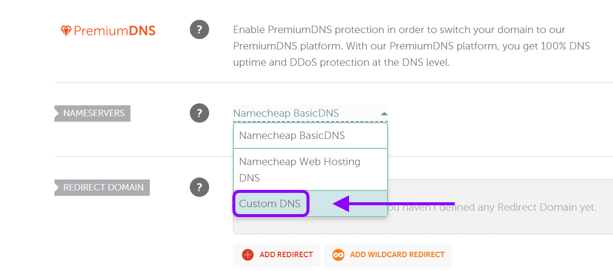 Custom DNS option in Nameservers dropdown menu