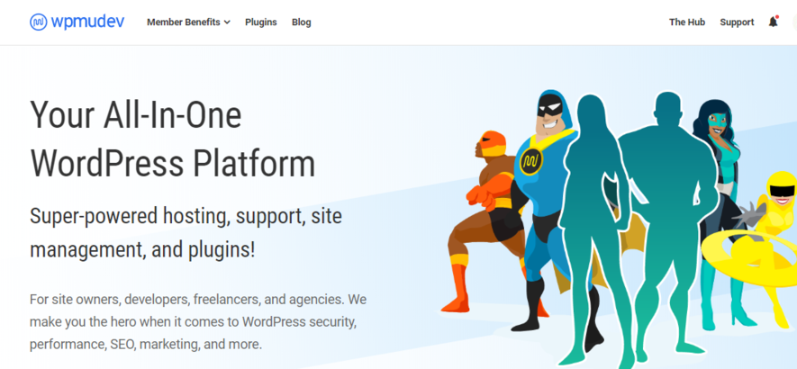 wpmudev-homepage-description-example Homepage description of wpmudev