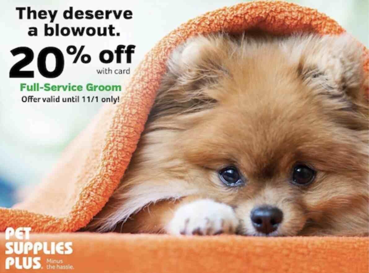 brand-campaign-offer-example Limited time service offer by a brand to boost its awareness