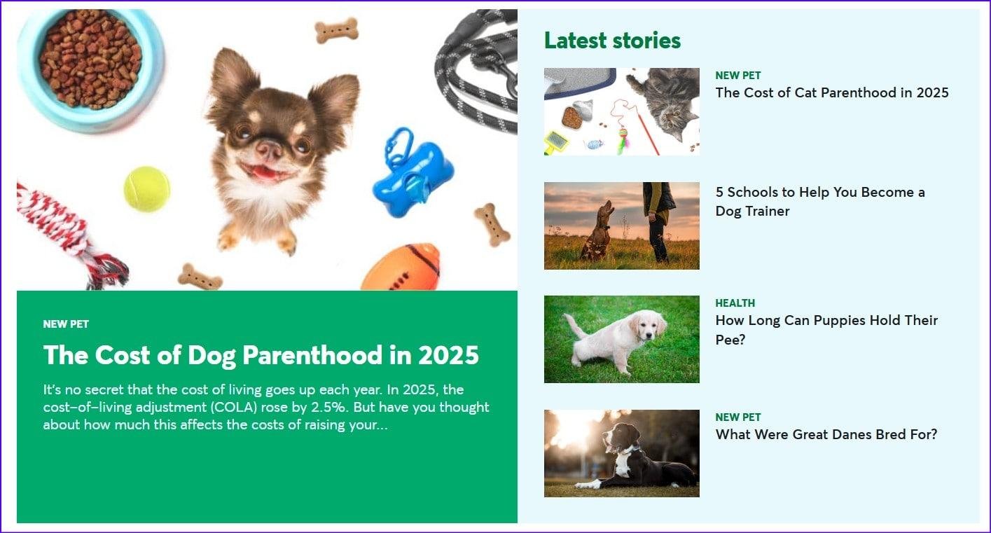 dog-people-affiliate-idea Pet care affiliate marketing idea the dog people