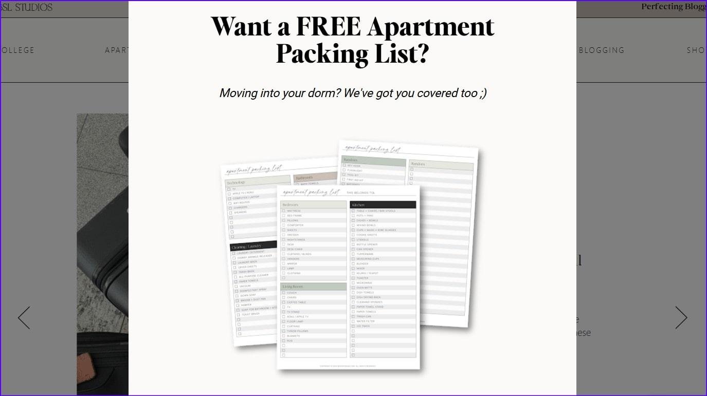 Lead magnet example for building an email list for your affiliate marketing strategy