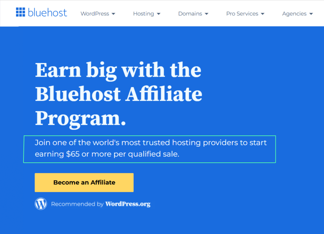 Affiliate program page of the Bluehost website
