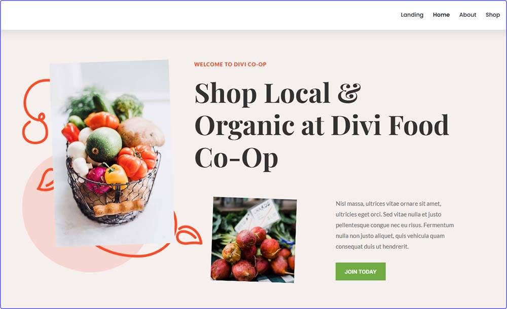 Demo website built with Divi Theme Builder