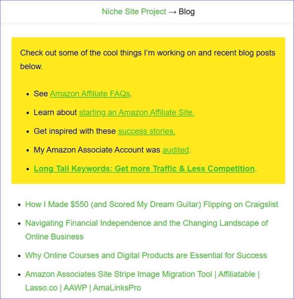 Blog posts on Niche Site Project affiliate website